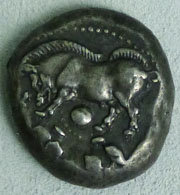 Silver incertum coin depicting a wild boar Silver incertum coin depicting a wild boar