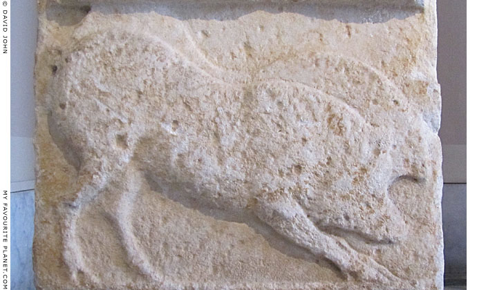 Marble relief of a wild boar on a funerary stele from Symi island Marble relief of a wild boar on a funerary stele from Symi island
