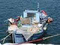 photos of Samos island, Greece at My Favourite Planet