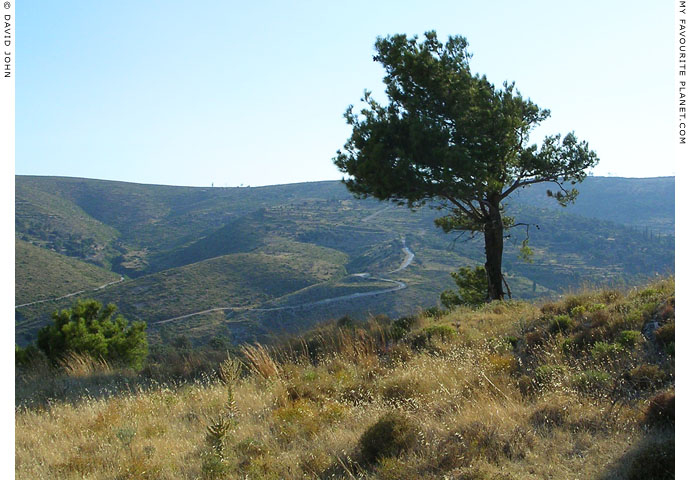 The long and winding road, Chora, Samos, Greece at My Favourite Planet