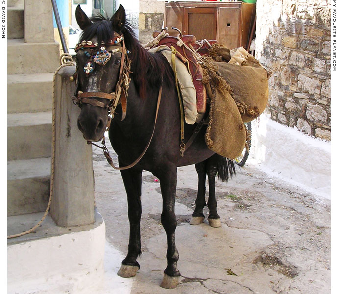 Karlovasi horse at My Favourite Planet