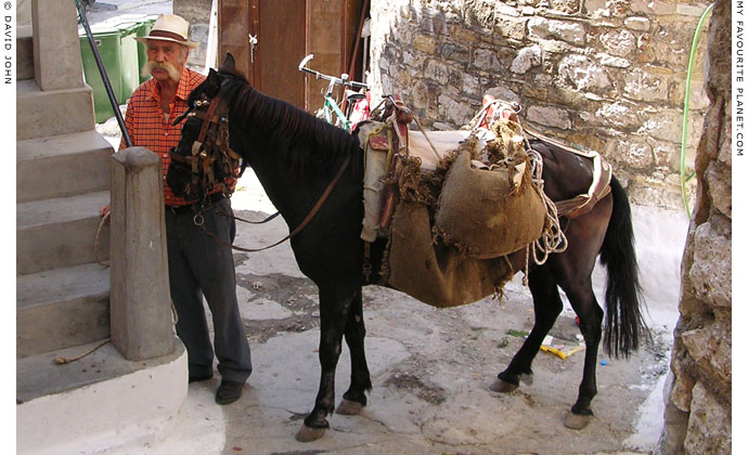 A packhorse and its owner in a sidestreet in Neo Karlovasi, Samos, Greece at My Favourite Planet A packhorse and its owner in a sidestreet in Neo Karlovasi, Samos, Greece at My Favourite Planet