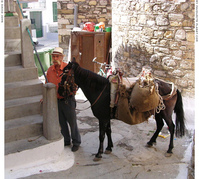 A Karlovasi cavalier and his steed at My Favourite Planet