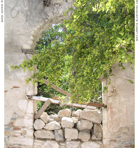 Window of an abandoned building in Pythagorio, Samos, Greece at My Favourite Planet