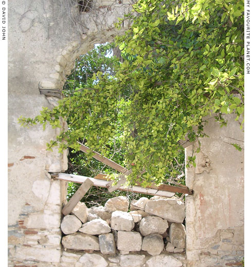 Window of an abandoned building in Pythagorio, Samos, Greece at My Favourite Planet Window of an abandoned building in Pythagorio, Samos, Greece at My Favourite Planet
