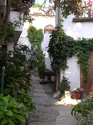 Gardening in Chora village, Samothraki, Greece at My Favourite Planet Gardening in Chora village, Samothraki, Greece at My Favourite Planet