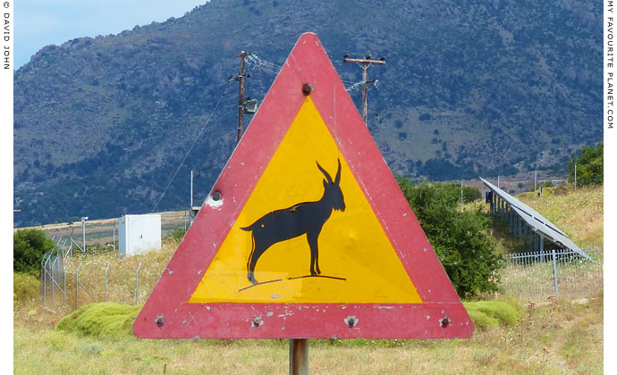 Goat warning road sign, Samothraki, Greece at My Favourite Planet