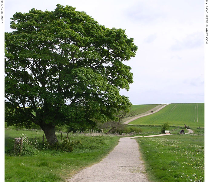 The footpath to West Kennet Long Barrow, Avebury, Wiltshire at My Favourite Planet