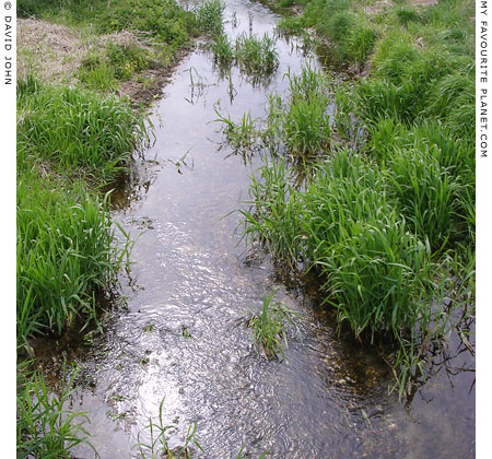 Swallowhead Springs, West Kennet, Avebury, Wiltshire at My Favourite Planet Swallowhead Springs, West Kennet, Avebury, Wiltshire at My Favourite Planet