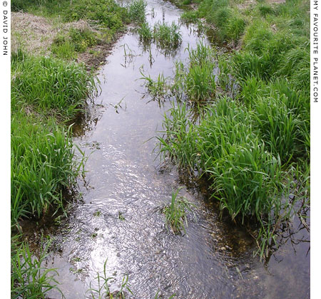 Swallowhead Springs, West Kennet, Avebury, Wiltshire at My Favourite Planet