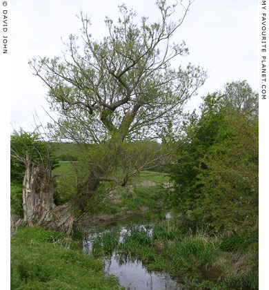 Swallowhead Springs, West Kennet, Avebury, Wiltshire at My Favourite Planet