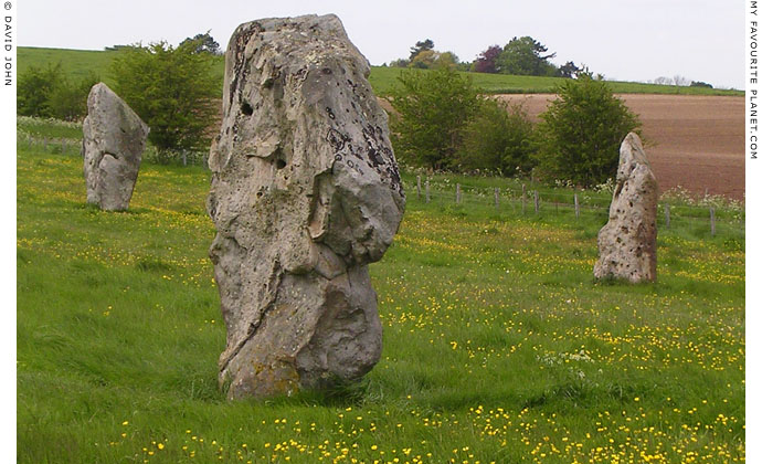 West Kennet Avenue, Avebury, Wiltshire at My Favourite Planet