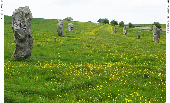 View northwards along West Kennet Avenue towards Avebury, Wiltshire at My Favourite Planet View northwards along West Kennet Avenue towards Avebury, Wiltshire at My Favourite Planet