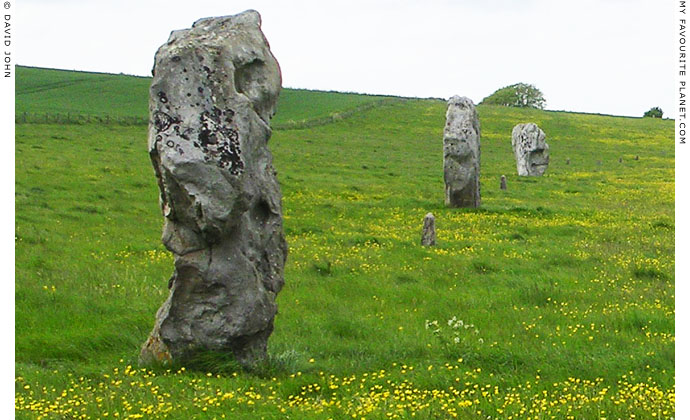Standing stones on the west side of West Kennet Avenue, Wiltshire at My Favourite Planet