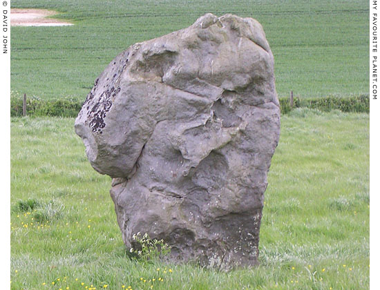 Standing stone along West Kennet Avenue, Avebury, Wiltshire at My Favourite Planet Standing stone along West Kennet Avenue, Avebury, Wiltshire at My Favourite Planet