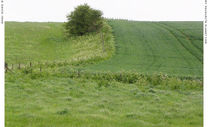 Waden Hill from West Kennet Avenue, Wiltshire at My Favourite Planet Waden Hill from West Kennet Avenue, Wiltshire at My Favourite Planet