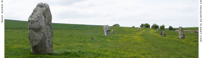 West Kennet Avenue, Avebury, Wiltshire
