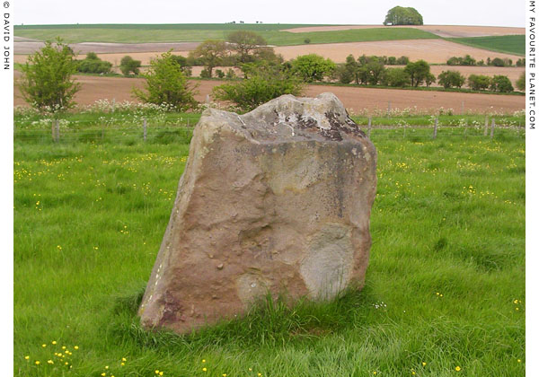 Standing stone on the east side of West Kennet Avenue, Wiltshire at My Favourite Planet Standing stone on the east side of West Kennet Avenue, Wiltshire at My Favourite Planet