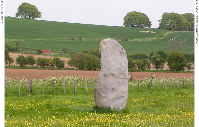 Springtime on West Kennet Avenue, Avebury, Wiltshire at My Favourite Planet Springtime on West Kennet Avenue, Avebury, Wiltshire at My Favourite Planet