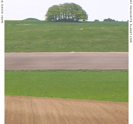 View northweastwards from West Kennet Avenue, Wiltshire at My Favourite Planet View northweastwards from West Kennet Avenue, Wiltshire at My Favourite Planet