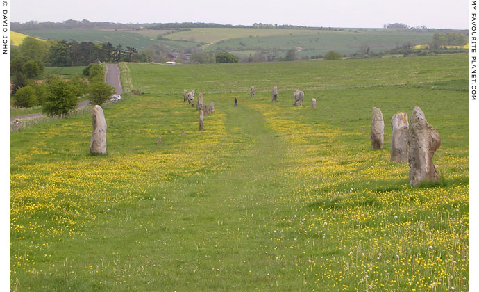 View southeastwards along West Kennet Avenue, Wiltshire at My Favourite Planet View southeastwards along West Kennet Avenue, Wiltshire at My Favourite Planet