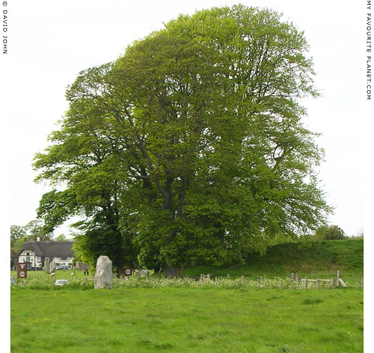 The southwestern section the bank surrounding Avebury Henge, Wiltshire at My Favourite Planet