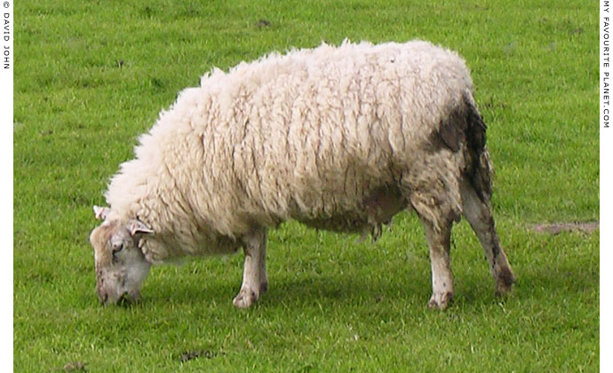 Avebury Henge lawn mower at My Favourite Planet Avebury Henge lawn mower at My Favourite Planet