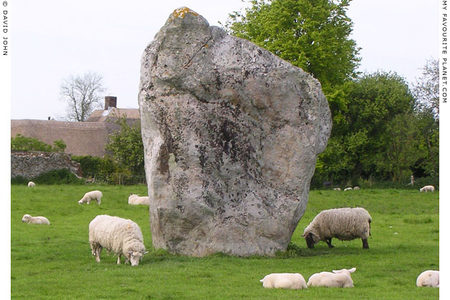 A standing stone in the circle of Avebury Henge, Wiltshire at My Favourite Planet A standing stone in the circle of Avebury Henge, Wiltshire at My Favourite Planet