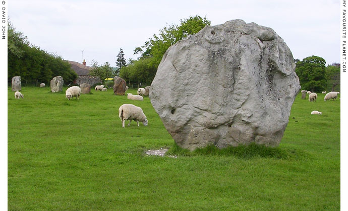 Standing stones and grazing sheep in the circle of Avebury Henge at My Favourite Planet Standing stones and grazing sheep in the circle of Avebury Henge at My Favourite Planet