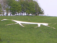 Marlborough White Horse at My Favourite Planet Marlborough White Horse at My Favourite Planet