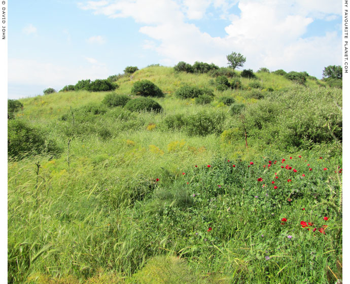 The hill thought by some to be Tracheia Mountain, Ephesus at My Favourite Planet