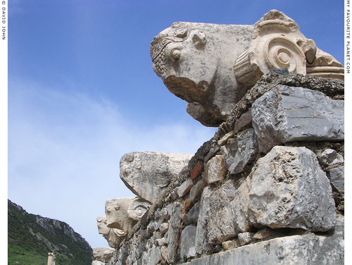 Ionic column capitals decorated with bulls' heads from the Basilica Stoa, Ephesus at My Favourite Planet