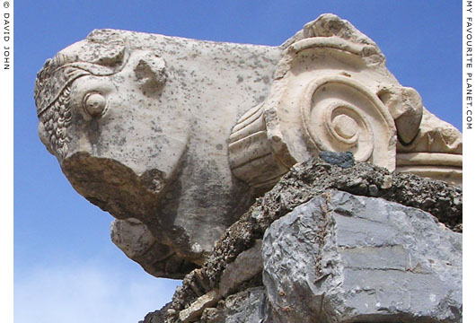 Detail of one of the bulls' heads capitals from the Basilica Stoa, Ephesus at My Favourite Planet