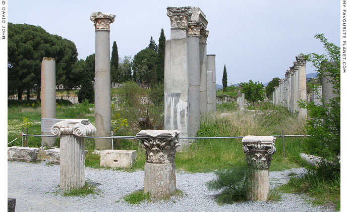 Rows of Corinthian columns in the Lower (Commercial) Agora, Ephesus, Turkey at My Favourite Planet