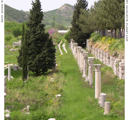 Columns of the stoa at the north end of the Lower (Commercial) Agora, Ephesus, Turkey at My Favourite Planet