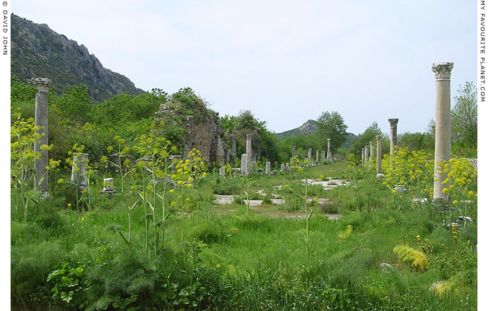 The Arcadian Way, Ephesus before restoration at My Favourite Planet