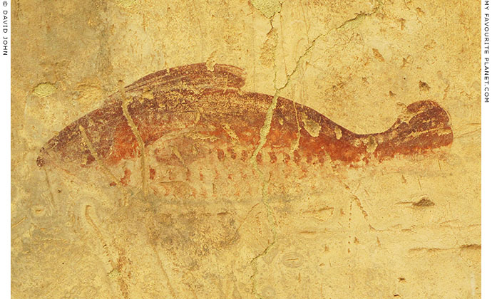 Fish fresco in the Terrace Houses, Ephesus at My Favourite Planet