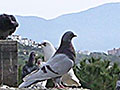 photos of Turkey at My Favourite Planet