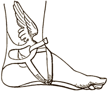 Winged sandal of Hermes at My Favourite Planet Winged sandal of Hermes at My Favourite Planet
