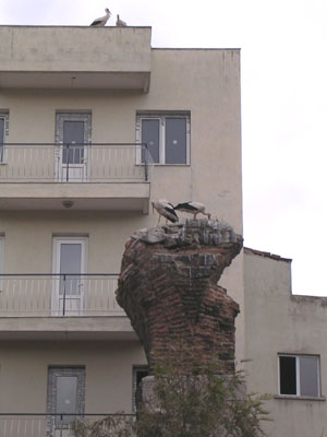 A storks' nest on a roof and the ruins of the Byzantine aqueduct in Selcuk, Turkey at My Favourite Planet