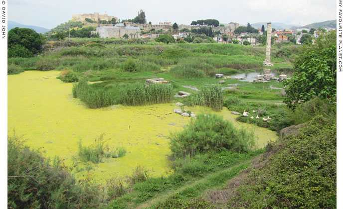 The Temple of Artemis, Ephesus, Selcuk, Turkey at My Favourite Planet