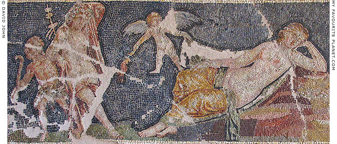 Detail of the Sleeping Ariadne mosaic at My Favourite Planet