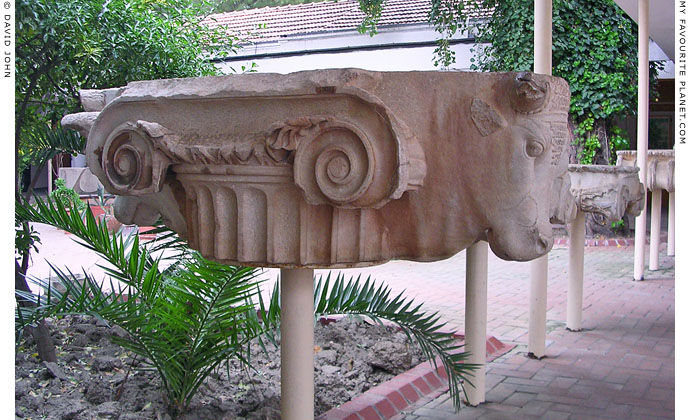 Capital of an Ionic column decorated with bulls' heads, Ephesus Archaeological Museum, Selcuk at My Favourite Planet