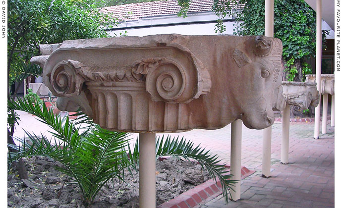 Capital of an Ionic column decorated with bulls' heads, Ephesus Archaeological Museum, Selcuk at My Favourite Planet Capital of an Ionic column decorated with bulls' heads, Ephesus Archaeological Museum, Selcuk at My Favourite Planet