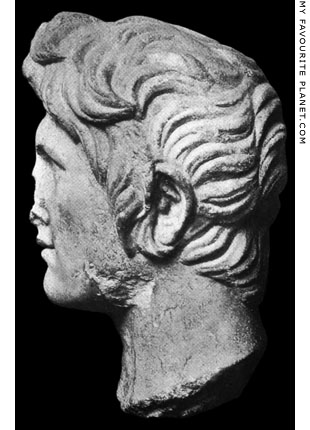 The Dresselscher Kopf in profile at My Favourite Planet The Dresselscher Kopf in profile at My Favourite Planet