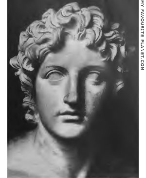 The head of the Alexander Rondanini statue at My Favourite Planet The head of the Alexander Rondanini statue at My Favourite Planet