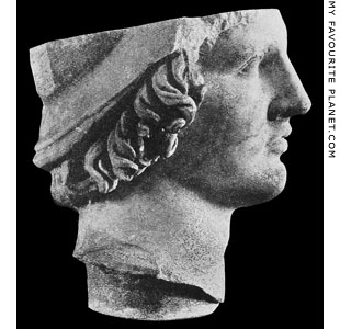 The right side of the head of the Alexander the Great from Kos at My Favourite Planet