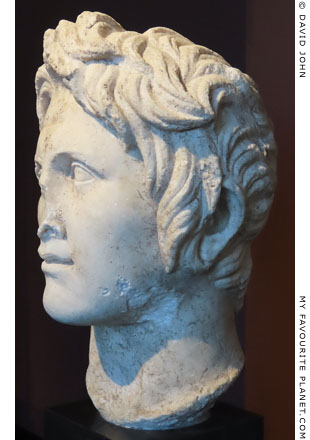 The Dressel Head in profile at My Favourite Planet The Dressel Head in profile at My Favourite Planet