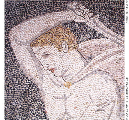 The hunter on the right in the Lion Hunt pebble mosaic in Pella at My Favourite Planet The hunter on the right in the Lion Hunt pebble mosaic in Pella at My Favourite Planet