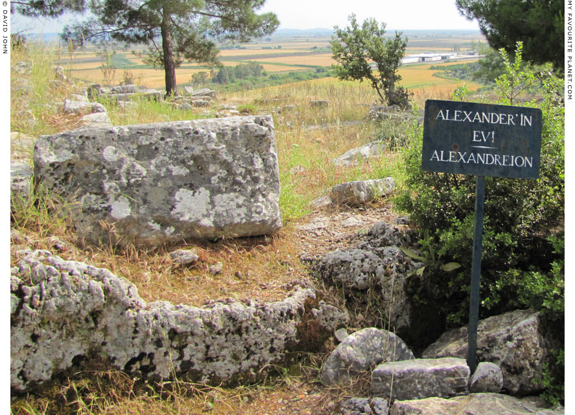 The House of Alexander the Great or Alexandreion, Priene at My Favourite Planet